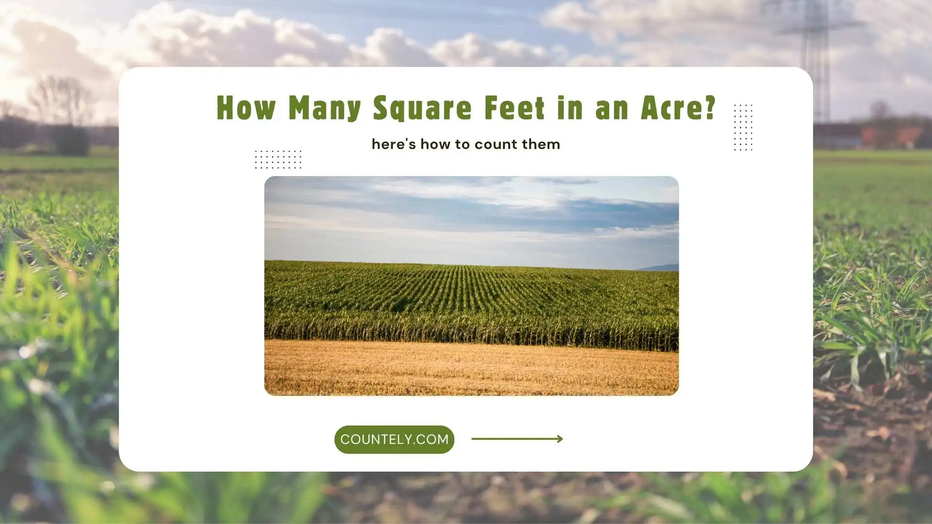 How Many Square Feet in an Acre?