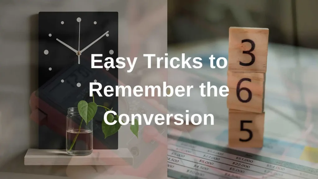 How Many Hours Are in 365 Days?