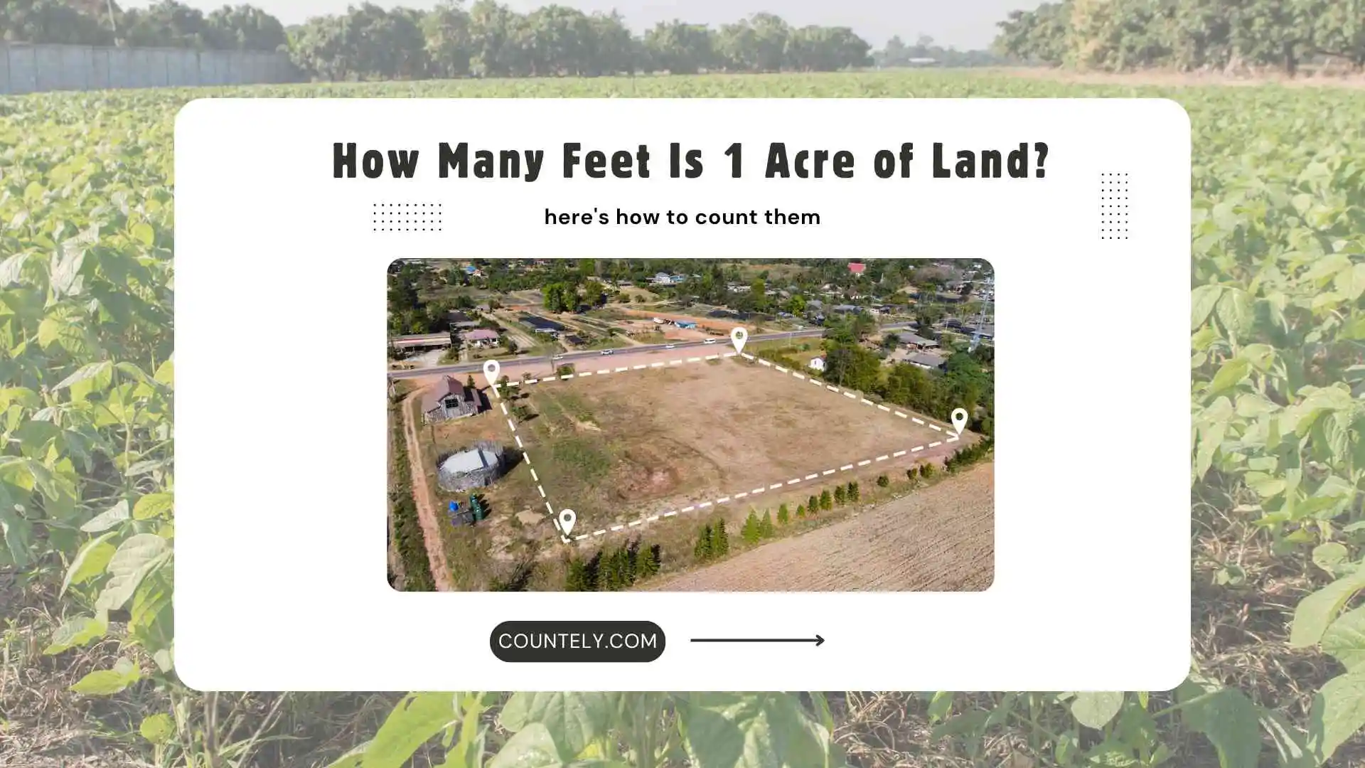 How Many Feet Is 1 Acre of Land? | Learn the Exact Measurement Here